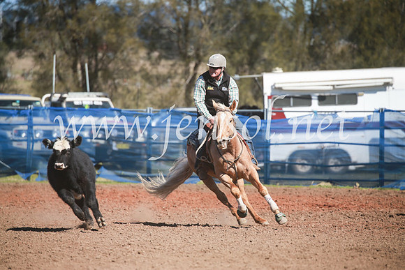 CCCampdraft2016_5963