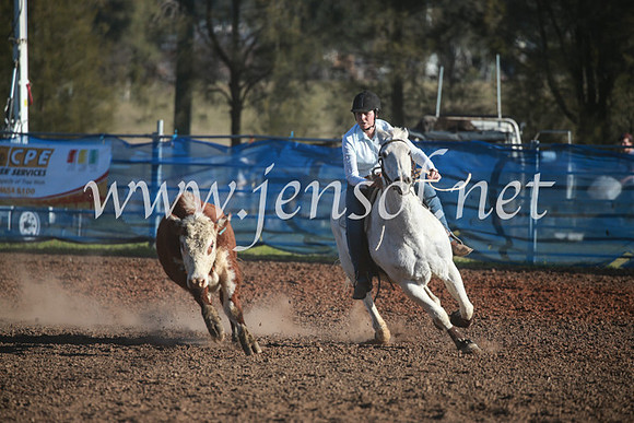 CCCampdraft2016_6519