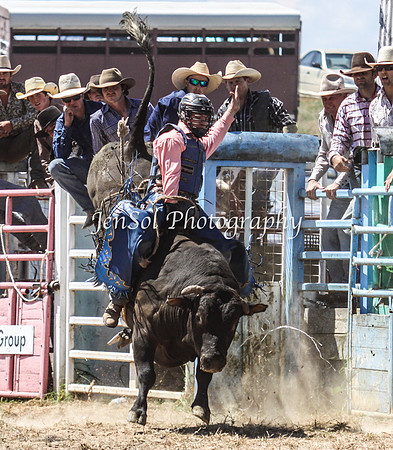 Bungendore2011_0876