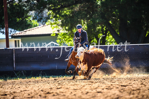 OrangeCampdraft2017_4379