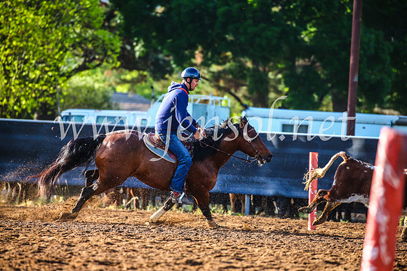 OrangeCampdraft2017_3745