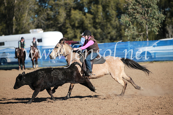 CCCampdraft2016_6498