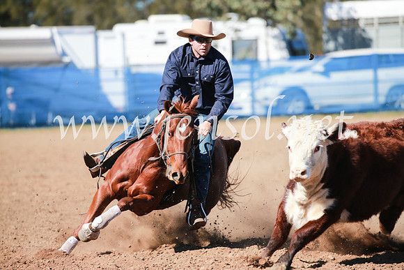 CCCampdraft2016_5425