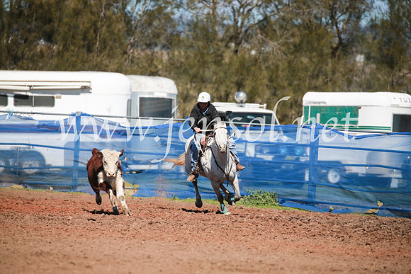 CCCampdraft2016_5521