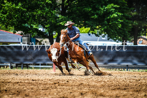 OrangeCampdraft2017_4748