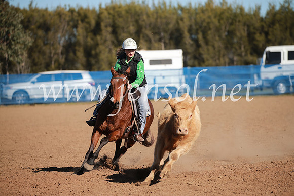 CCCampdraft2016_6234