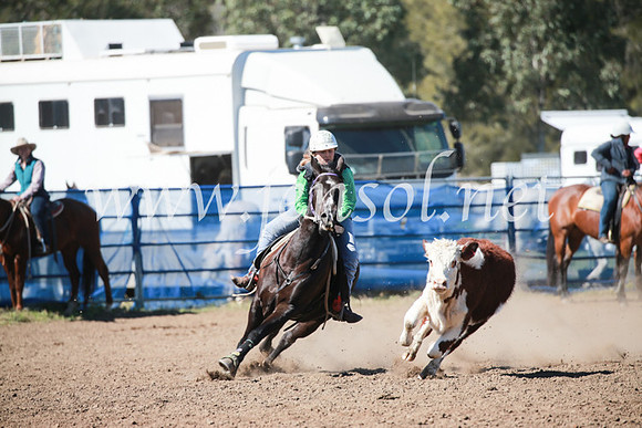 CCCampdraft2016_5747