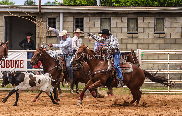 IMG_0185