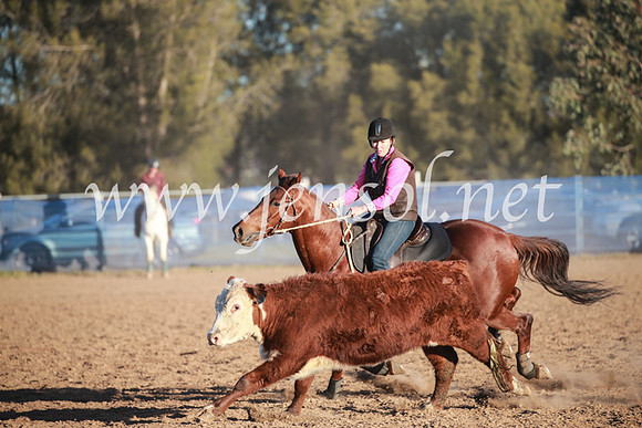 CCCampdraft2016_6846
