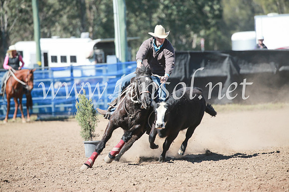 CCCampdraft2016_5713