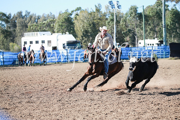 CCCampdraft2016_5331