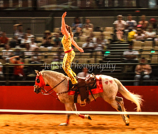 EquitanaSat_0964