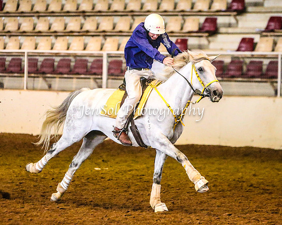 RealDealRodeoFeb2014_0256