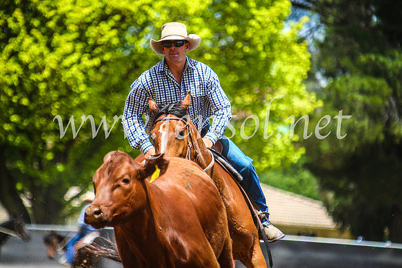 OrangeCampdraft2017_5553