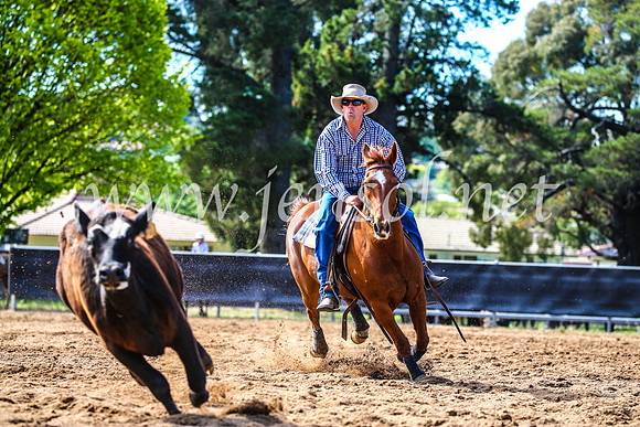 OrangeCampdraft2017_4169