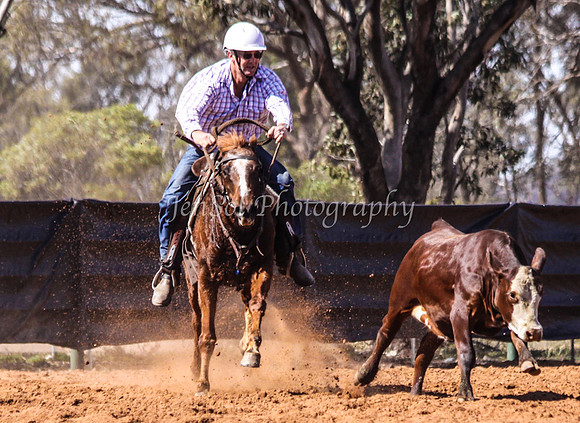 Wwyalong0341
