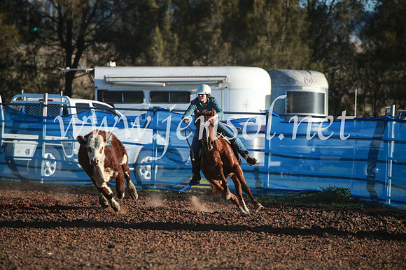 CCCampdraft2016_6666