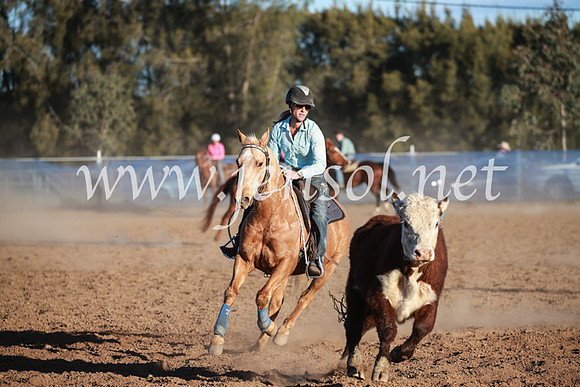 CCCampdraft2016_6759