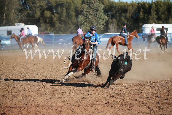 CCCampdraft2016_6624