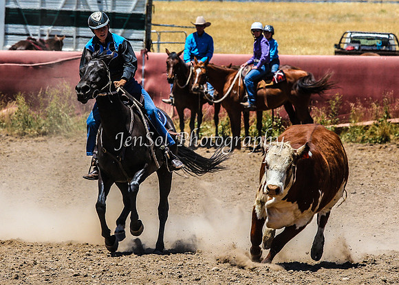 AdaminabyCampdraft2015_0446