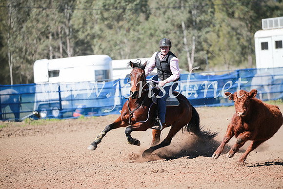 CCCampdraft2016_6005