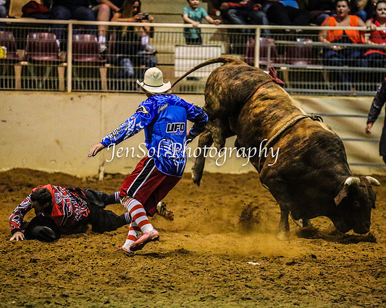 RealDealRodeoFeb2014_2182