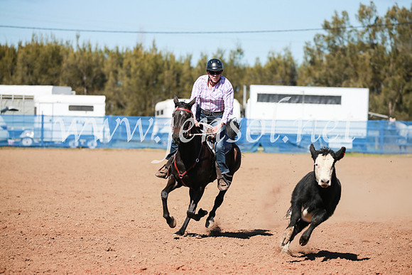 CCCampdraft2016_5765