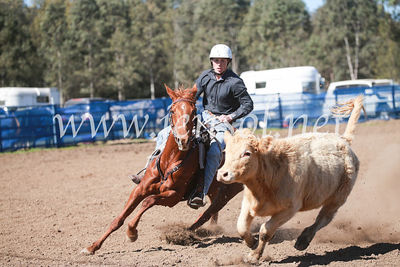 CCCampdraft2016_6075