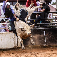Yass Rodeo 2010