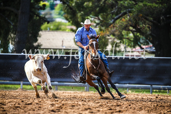 OrangeCampdraft2017_4140
