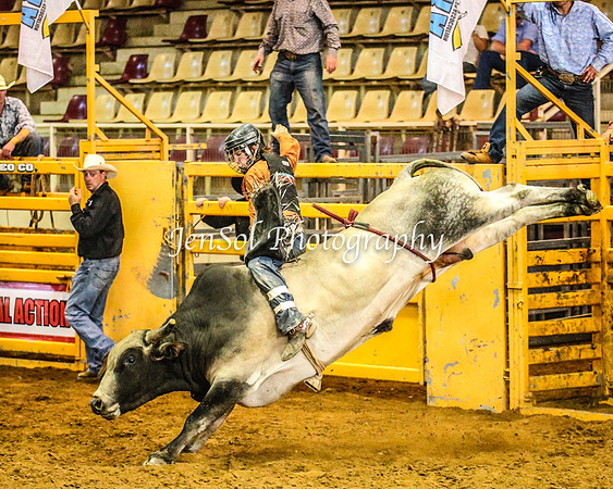 RealDealRodeoFeb2014_0588