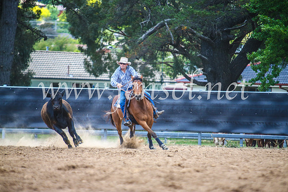OrangeCampdraft2017_5434
