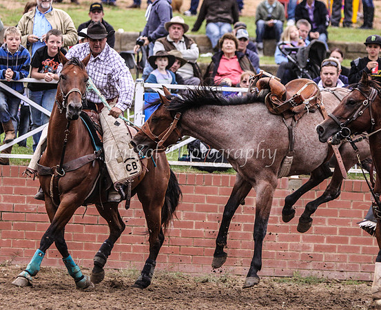 Cooma1_0803