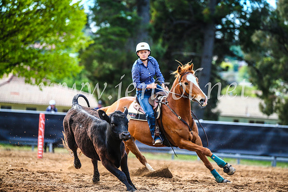 OrangeCampdraft2017_4045