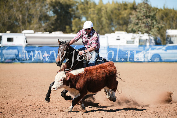 CCCampdraft2016_5563