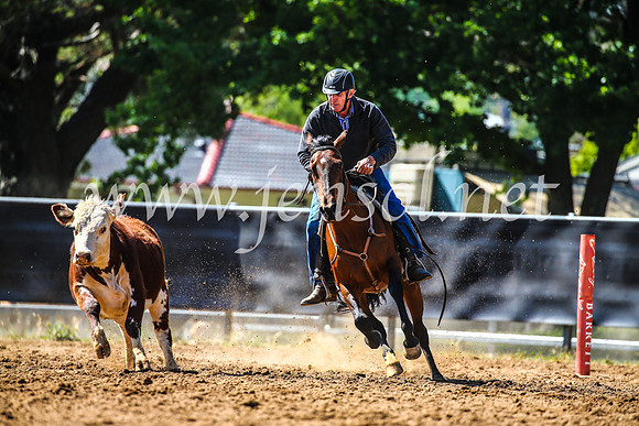 OrangeCampdraft2017_4458