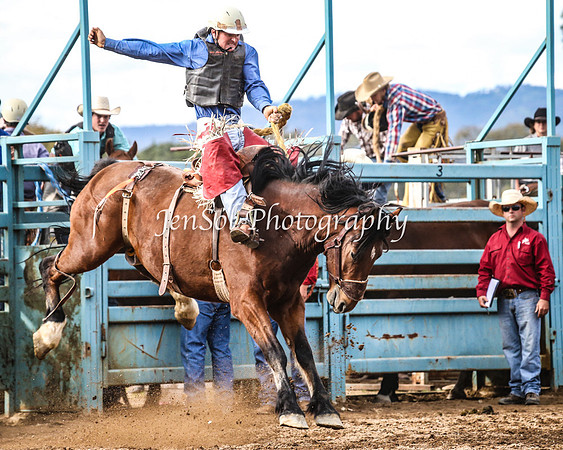 TumutRodeo2014_2339