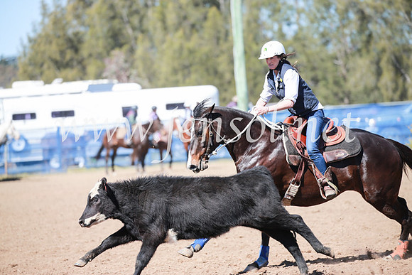 CCCampdraft2016_5854