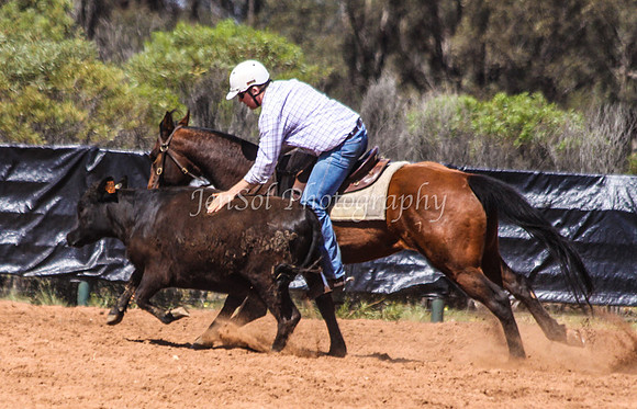 Wwyalong0441