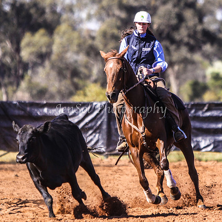 Wwyalong0150