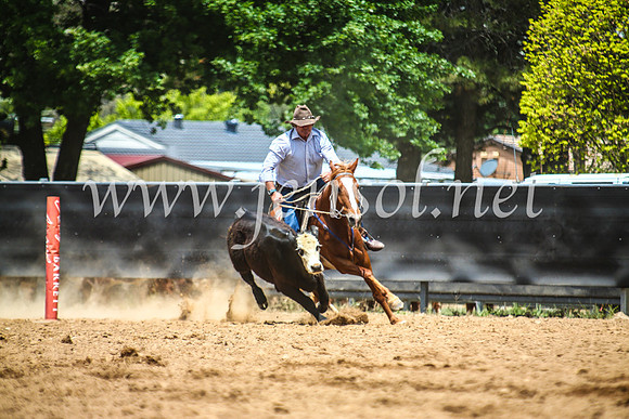 OrangeCampdraft2017_5295
