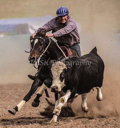 IMG_0675CabSat