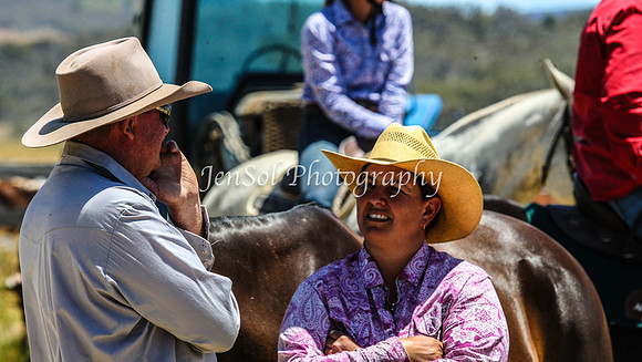 AdaminabyCampdraft2015_0374