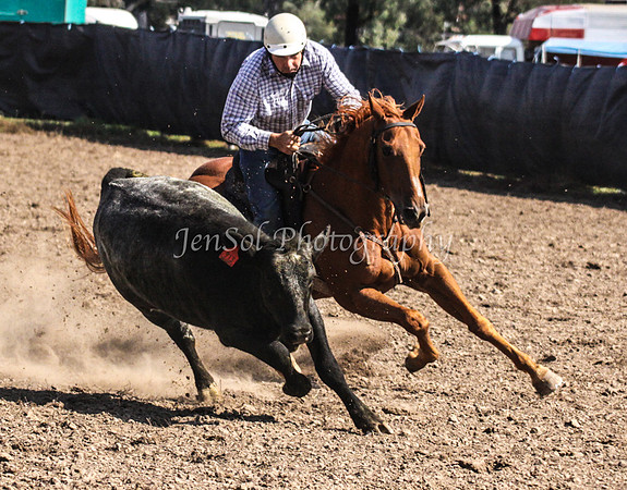 GundiOpen1_0290