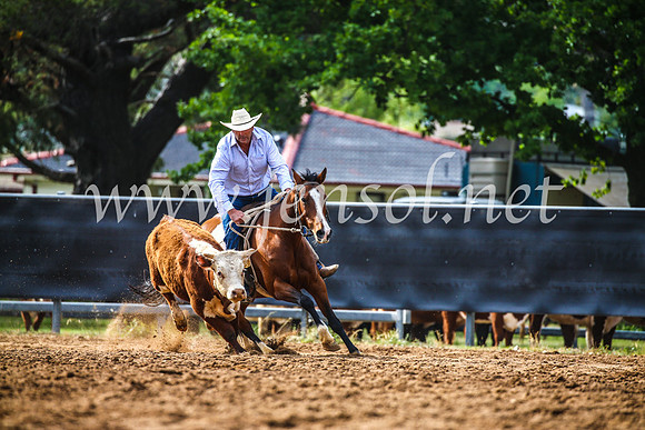 OrangeCampdraft2017_3944