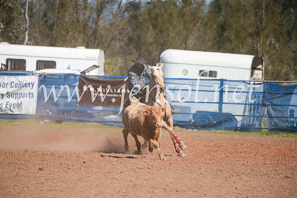 CCCampdraft2016_6047