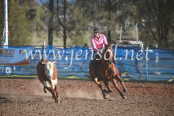 CCCampdraft2016_6575