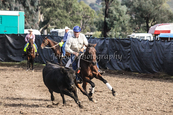 GundiOpen1_0078