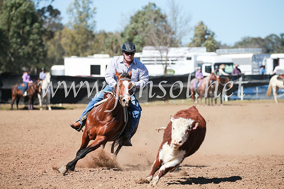 CCCampdraft2016_5838