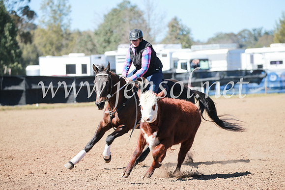 CCCampdraft2016_5671